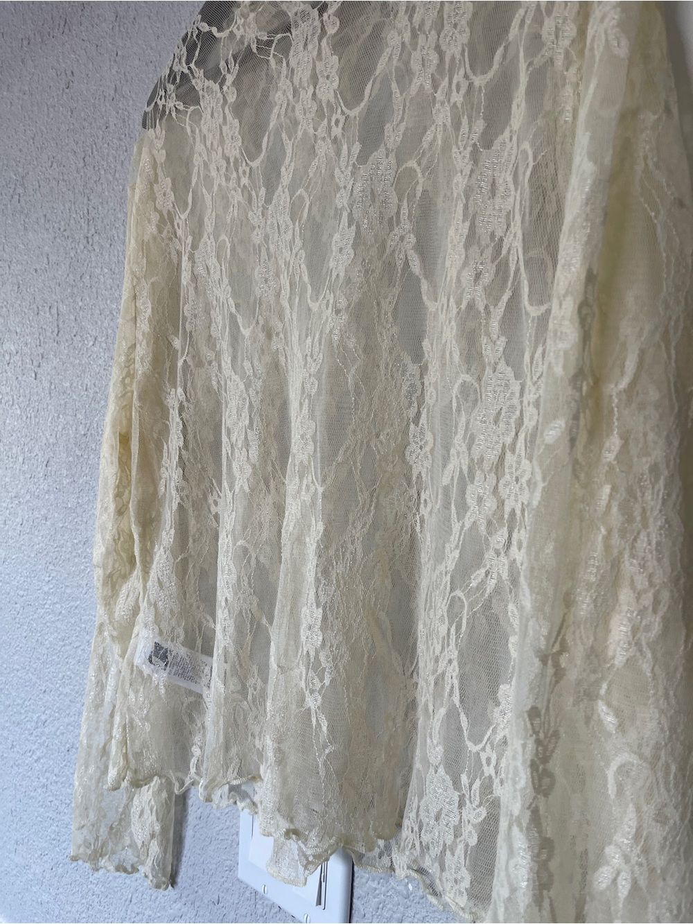 SHEIN Curve Ivory Sheer Lace Mesh Long Sleeve Top 4XL Romantic - Picture 3 of 9